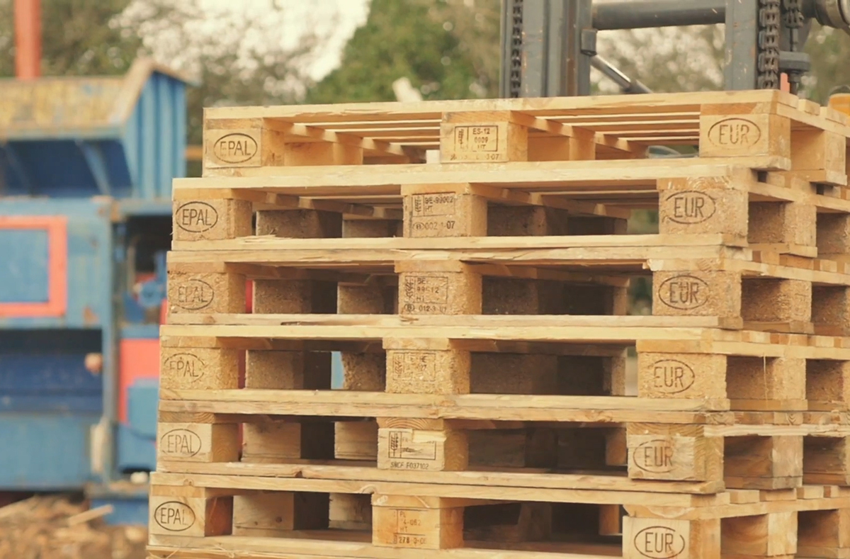 PALLETS-ON-FORKLIFT PALLETS-ON-FORKLIFT